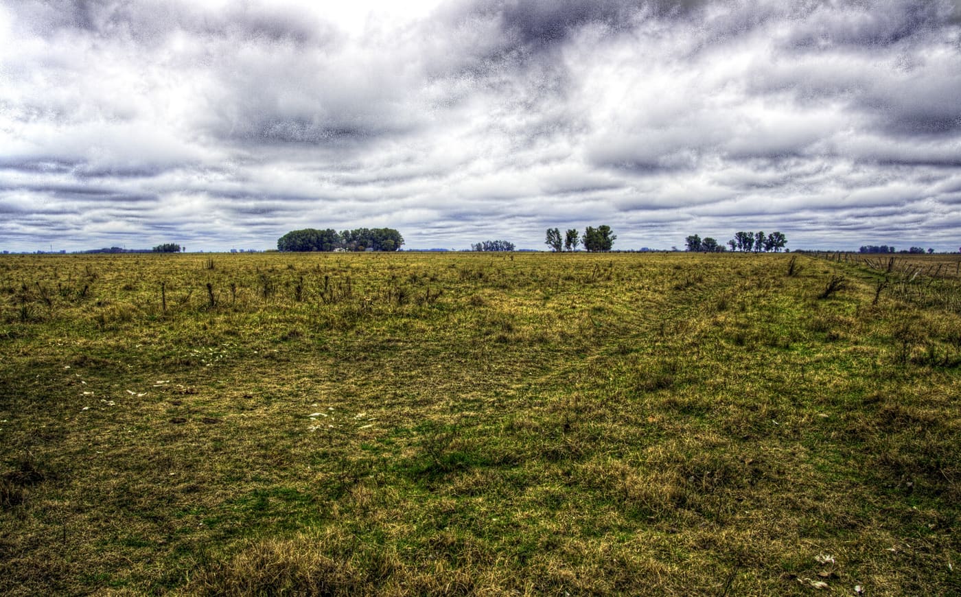 Uruguayische Agrarlandschaft