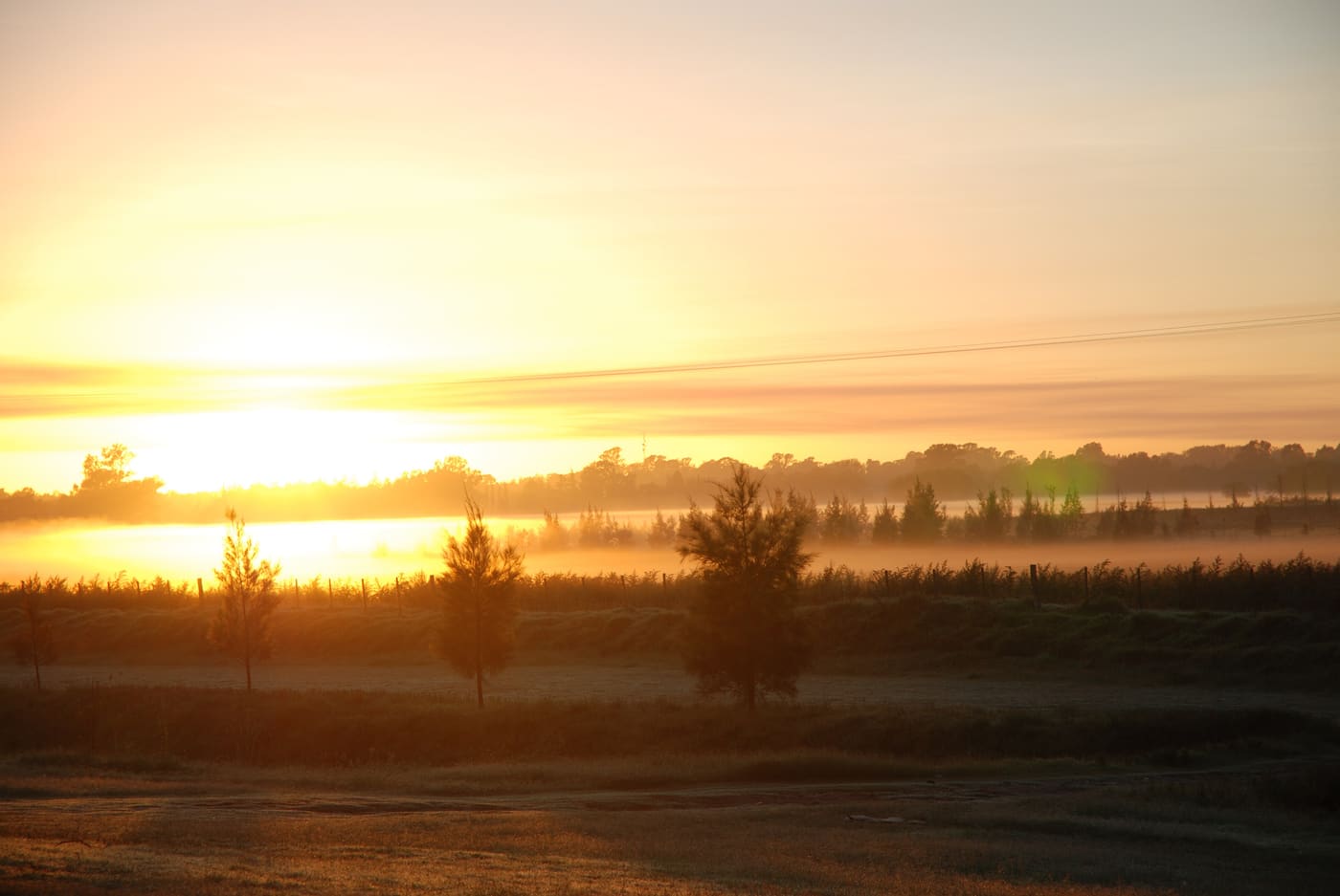 Agrarlandschaft bei Sonnenuntergang
